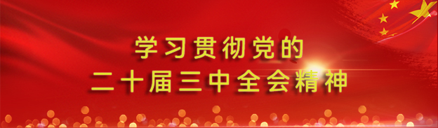 学习贯彻党的二十届三中全会精神